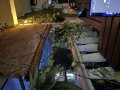 IMG_0831.