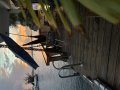 IMG_0892 (1).